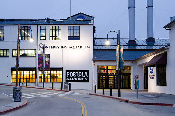 Monterey Bay Aquarium along Cannery Row "Monterey, United States - July 1, 2012: The Monterey Bay Aquarium is seen at night along Cannery Row in Monterey. The aquarium was founded in 1984 and is located on the site of a former sardine cannery and has an annual attendance of 1.8 million visitors." city of monterey california stock pictures, royalty-free photos & images