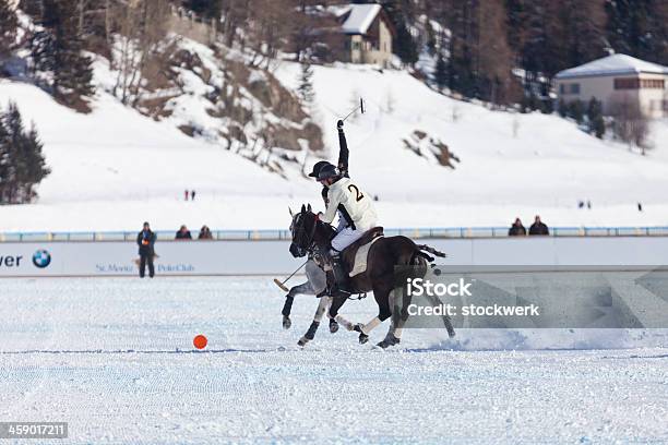 ポロプレーヤー Gallopping - 2013年のストックフォトや画像を多数ご用意 - 2013年, ウマ, エディトリアル