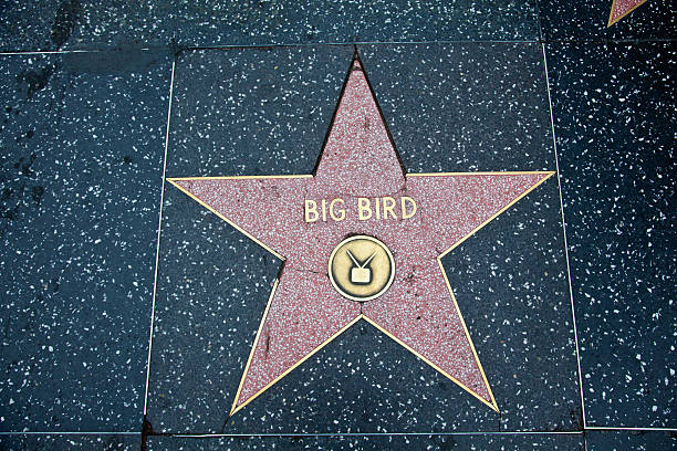 hollywood walk of fame star big bird - sesame street fotos stock-fotos und bilder