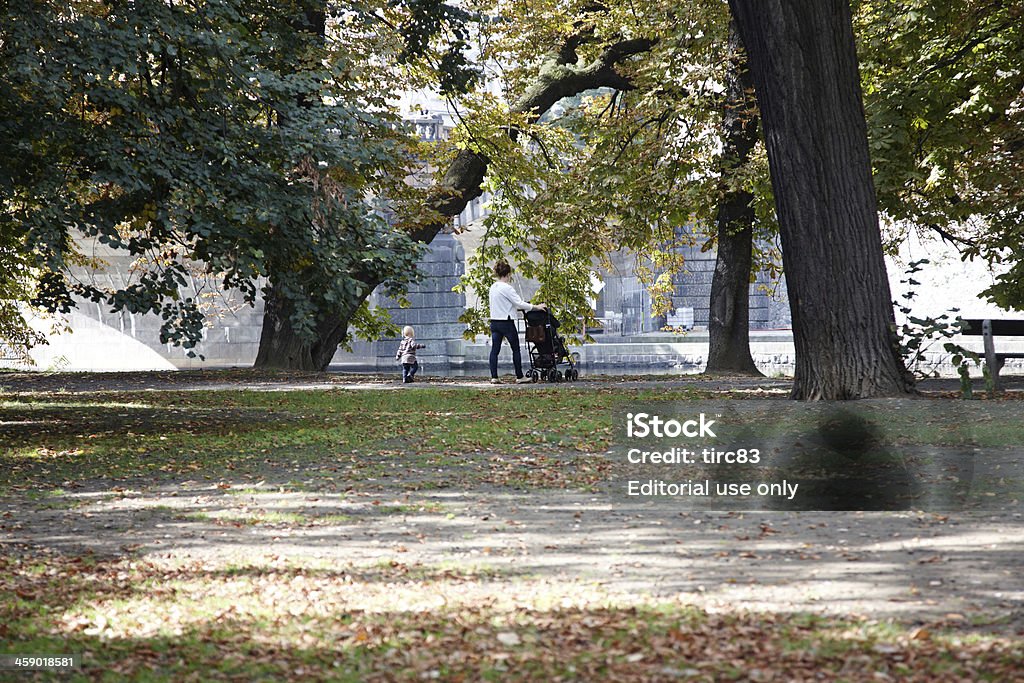 Madre con bambino spingendo il passeggino nel parco - Foto stock royalty-free di Adulto