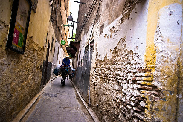 Medina of Fez "Fez, Morocco - September 18, 2008: man riding a donkey in a dark alley of the medina of Fez in Morocco." fez morocco stock pictures, royalty-free photos & images