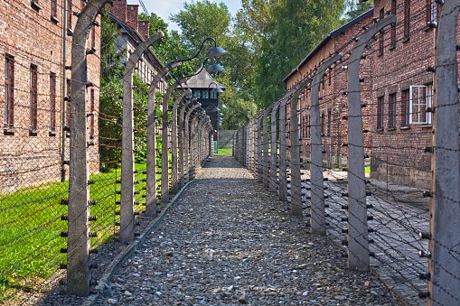Auschwitz, Poland - August 20 2010:The path between the fences of barbed wire, the guard's watch tower in background, Auschwitz concentration camp, Poland