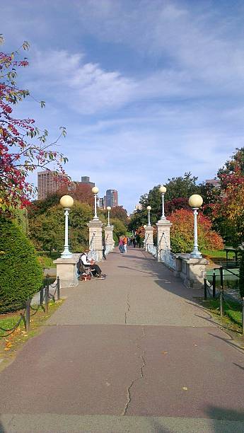 lagon pont dans le jardin public de boston, massachusetts,, états-unis - boston formal garden bridge park photos et images de collection