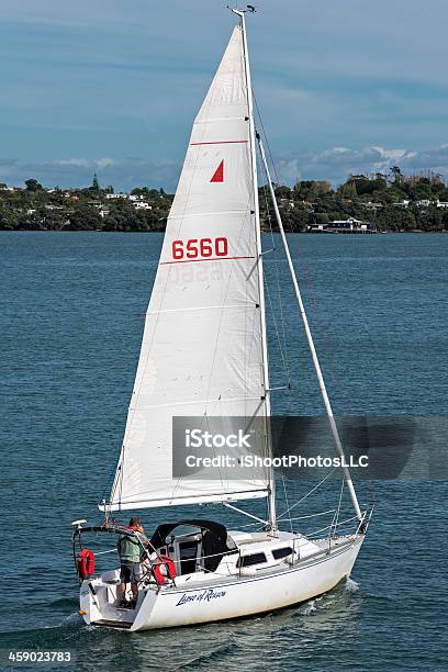 Sailing New Zealand Stock Photo - Download Image Now - Adult, Boat Captain, Leisure Activity