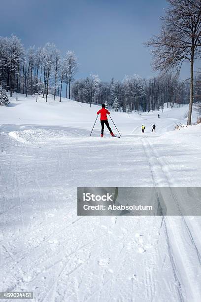 Esquí De Fondo En Vojsko Eslovenia Europa Foto de stock y más banco de imágenes de Actividades y técnicas de relajación - Actividades y técnicas de relajación, Adulto, Adulto joven