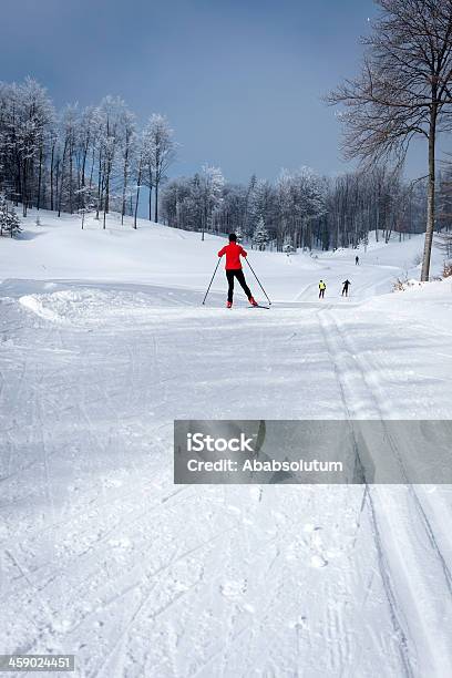 Crosscountry Esqui Em Vojsko Eslovénia Europa - Fotografias de stock e mais imagens de Adulto - Adulto, Alpes Europeus, Alpes de Julian