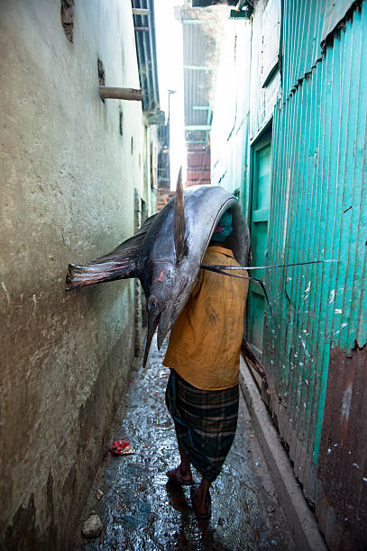 mann richtung sailfish zu fuß in kleinen gasse, bangladesch - benglalese stock-fotos und bilder