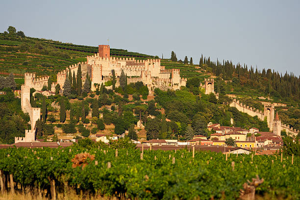 soave castelo ao pôr do sol, perto de verona (itália) - soave - fotografias e filmes do acervo