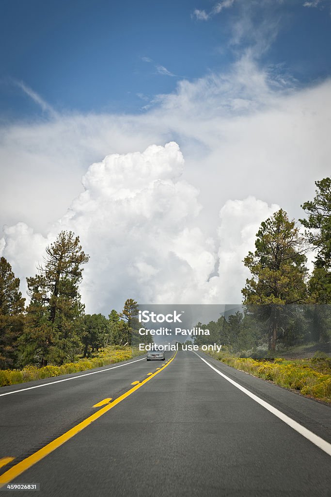 Silver voiture conduite en Arizona Rd 180 États-Unis - Photo de Amérique du Nord libre de droits