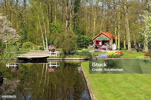 Blumenzwiebel Einkaufen Im Keukenhofgärten In Den Niederlanden Stockfoto und mehr Bilder von Baum