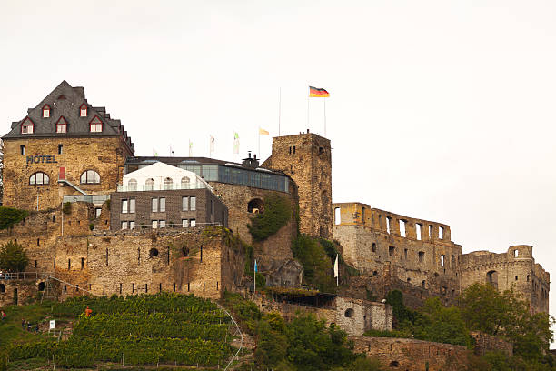 castelo burg rheinfels - rheinfels imagens e fotografias de stock