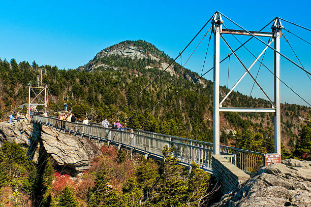 mile high swinging bridge, grandfather mountain, carolina del nord, stati uniti - grandfather mountain foto e immagini stock