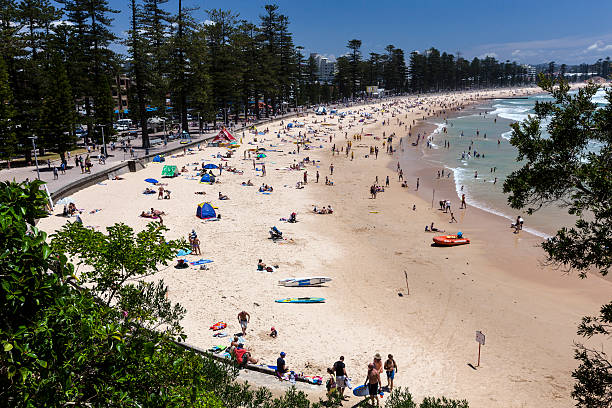 manly のビーチ - manly beach summer beach pacific ocean ストックフォトと画像