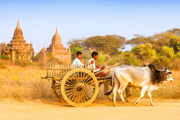 An Asian female traveler wearing a hat and exploring the thousands of well-preserved temples and pagodas in Bagan, Myanmar.