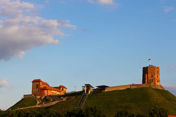 istock The tower of Gediminas 459033291
