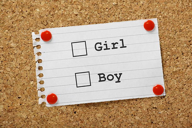 boy.girl  Girl Or Boy Tick Boxes Stock Photo - Download Image Now - Adult