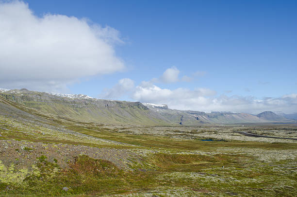 istock Landscape in the Snaefellsness peninsula, Iceland 459038001