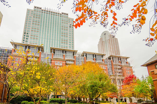 istock charlotte city skyline autumn season 459043687