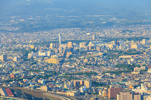istock Hakodate Cityscape from Mt.Hakodate 459050767
