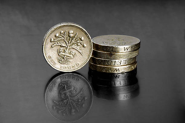 파운즈 - fifty pence coin coin british coin number 50 뉴스 사진 이미지