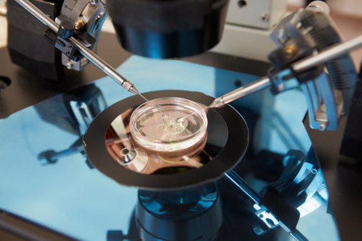 Laboratory Fertilization Of Eggs In IVF Treatment Close Up