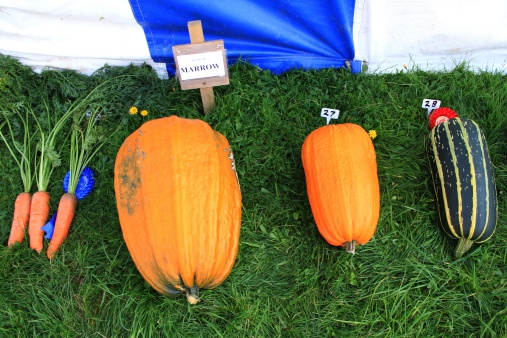 prize winning vegetables at Eskdale Lake District County Fair