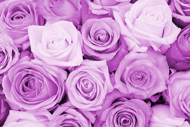 istock Purple wedding arrangement 459066517