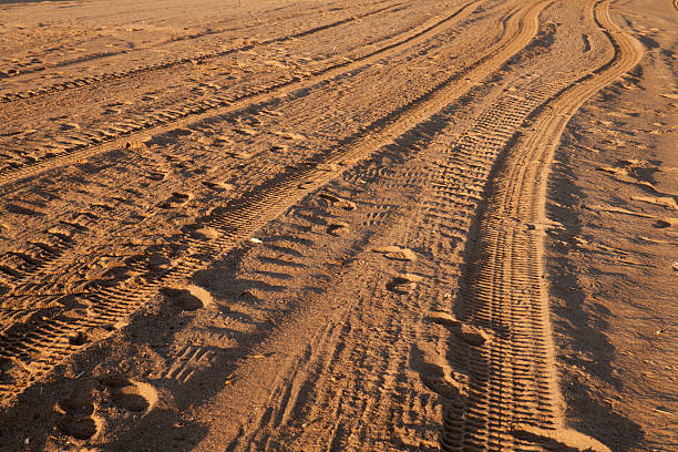 pistas de neumático - sand footprint track following fotografías e imágenes de stock