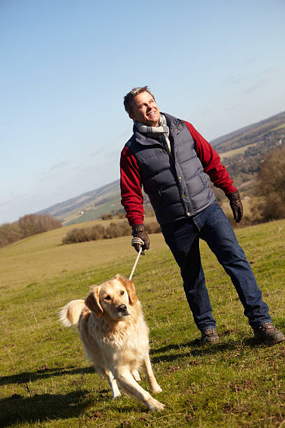 istock Man Taking Dog On Walk In Autumn Countryside 459074065