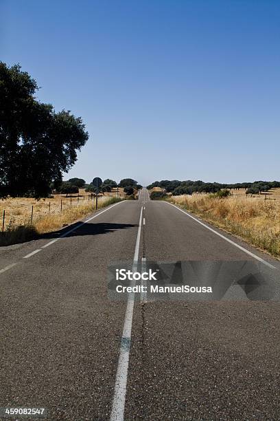 Estrada De Asfalto Vazia - Fotografias de stock e mais imagens de Alfalto - Alfalto, Ao Ar Livre, Autocarro