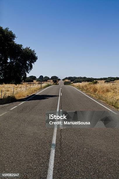 Empty Asphalt Road — стоковые фотографии и другие картинки Автобус - Автобус, Автодром, Автомобиль