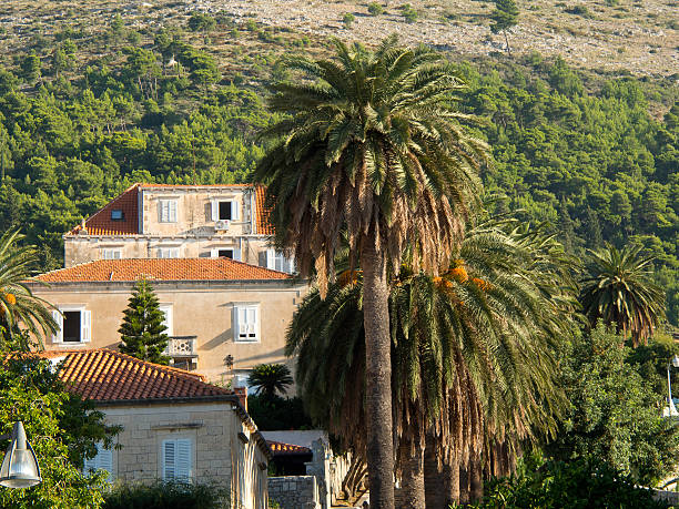 dubrovnik dubrovnik dachpfannen stock pictures, royalty-free photos & images