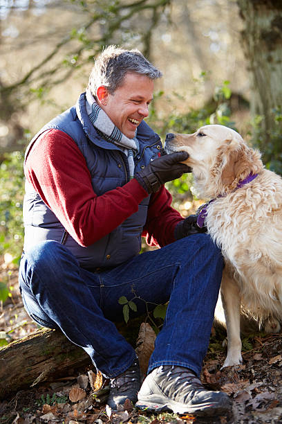 istock Man Taking Dog On Walk Through Autumn Woods 459087201
