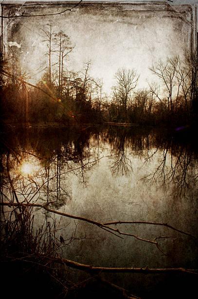istock vintage nature landscape 459088781