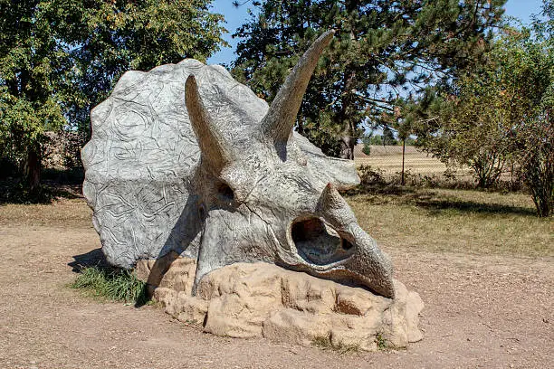 Photo of Triceratops Fossil skeleton over natural background