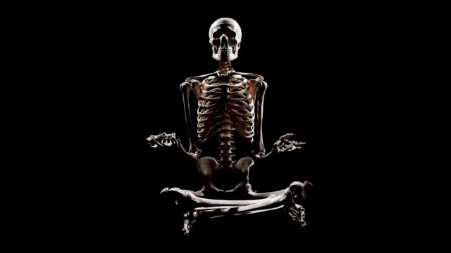 Human Skeleton sitting at lotus pose and pointing with hands