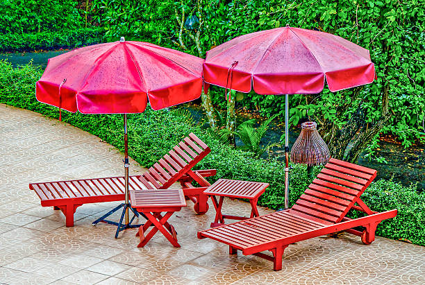 istock Wooden bed with umbrella at pool 459100601