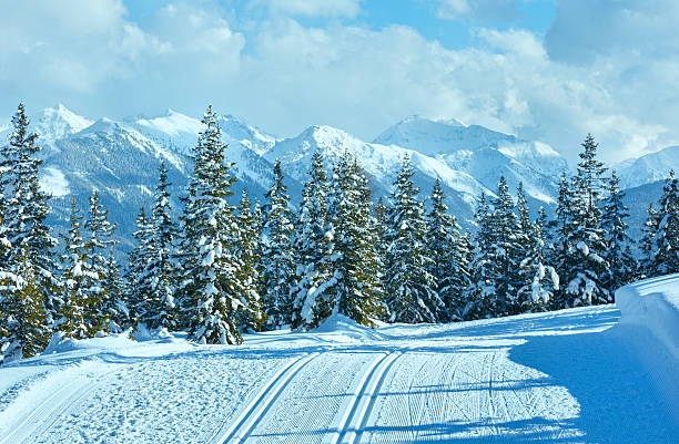 istock Winter mountain landscape and ski slope (Papageno bahn, Austria) 459103309