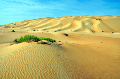 Wind sculpted shapes and patterns here in the South Western Province of Abu Dhabi, part of the Arabian Desert, UAE