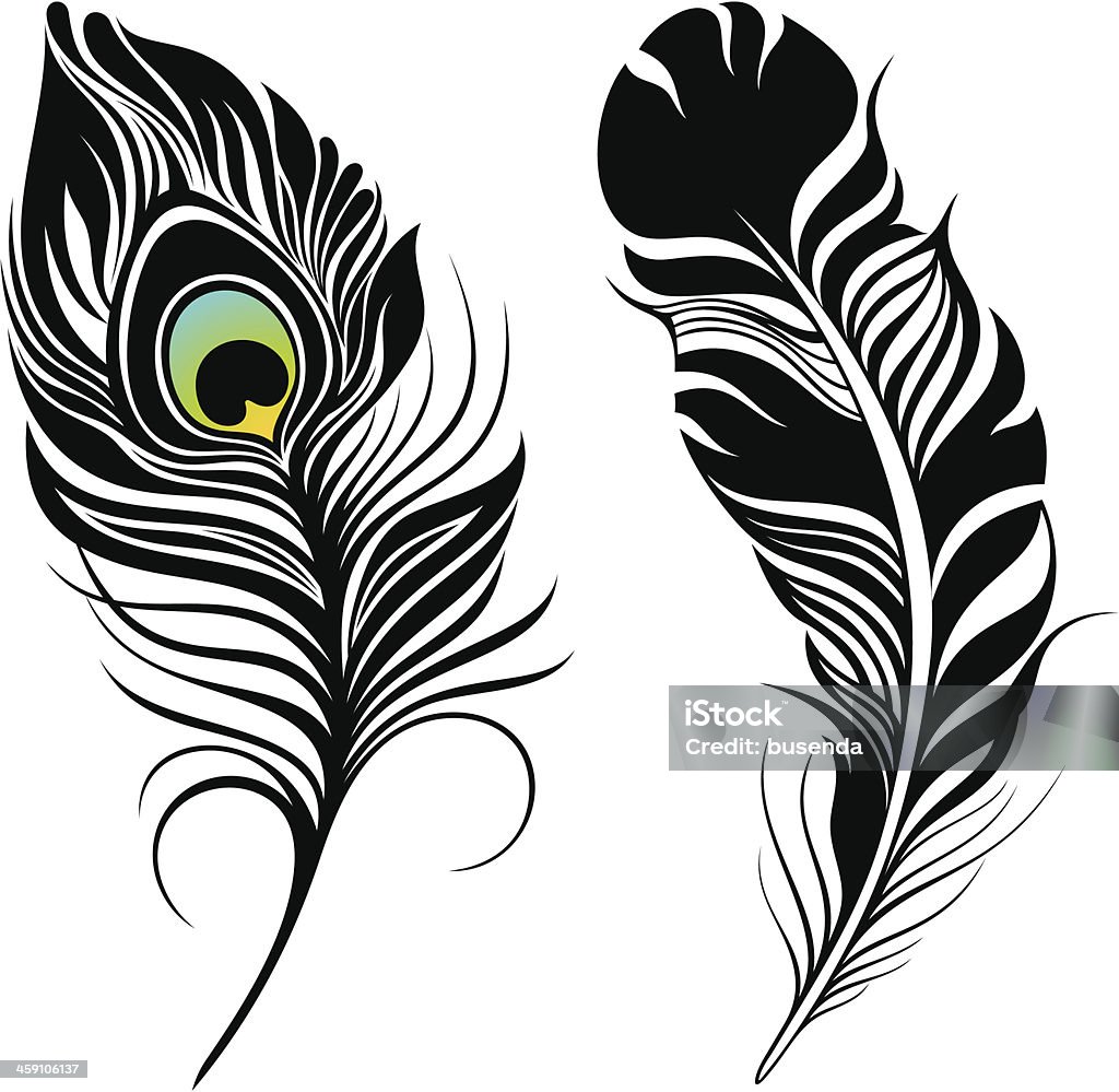 Feathers Stock Illustration - Download Image Now - Peacock Feather ...