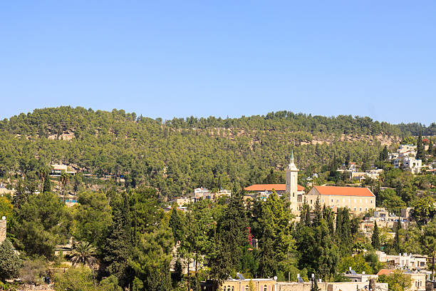 istock Ein Kerem, with belfry of John the Baptist, Jerusalem 459108837