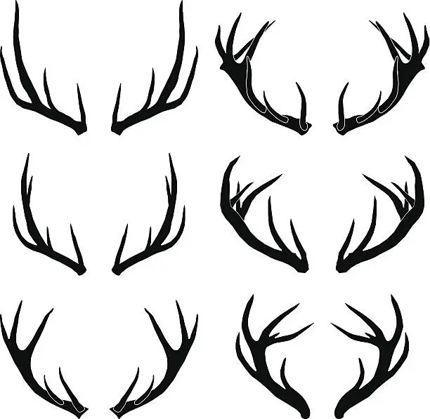 Vector illustration of vector deer antlers collection