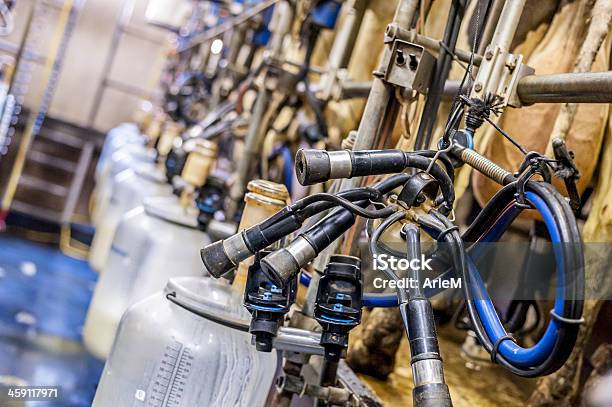 Close Up Of Milking Cluster Stock Photo - Download Image Now - Milking, Milking Machine, Dairy Farm