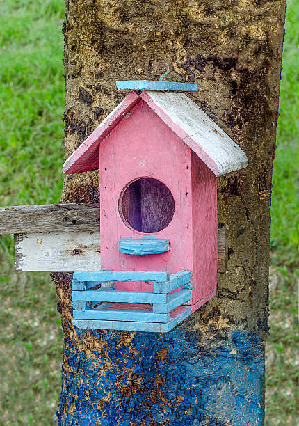 madera de casa para pájaros - birdhouse house bird house rental fotografías e imágenes de stock