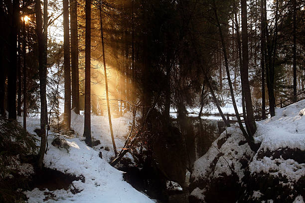 a luz do sol - schneelandschaft - fotografias e filmes do acervo