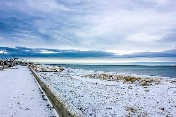 istock Punta arenas ,beach in winter time 459120687