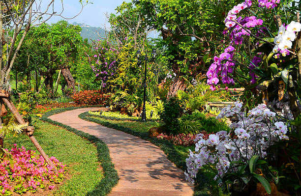 istock Colorful Orchids in the Garden 459120715