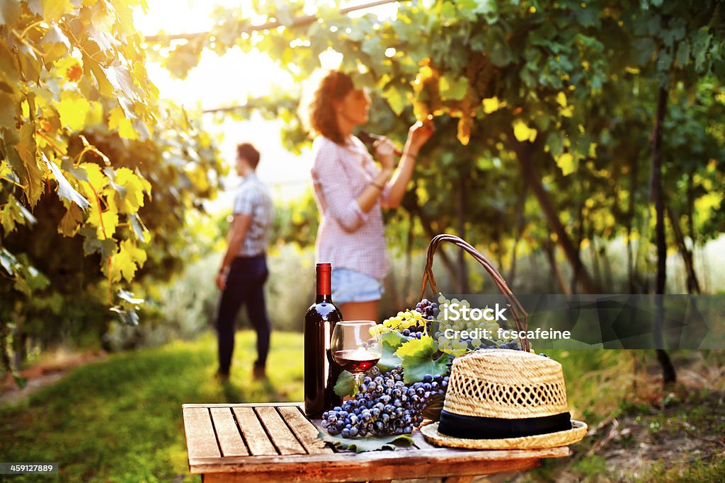 grape and wine composition in vineyard Adult Stock Photo
