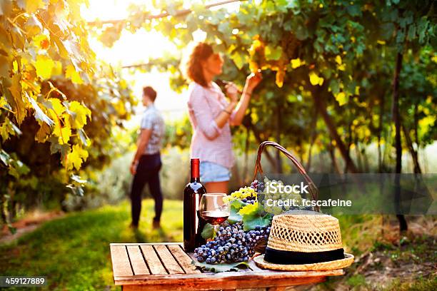 Grape And Wine Composition In Vineyard Stock Photo - Download Image Now - Adult, Agricultural Occupation, Agriculture