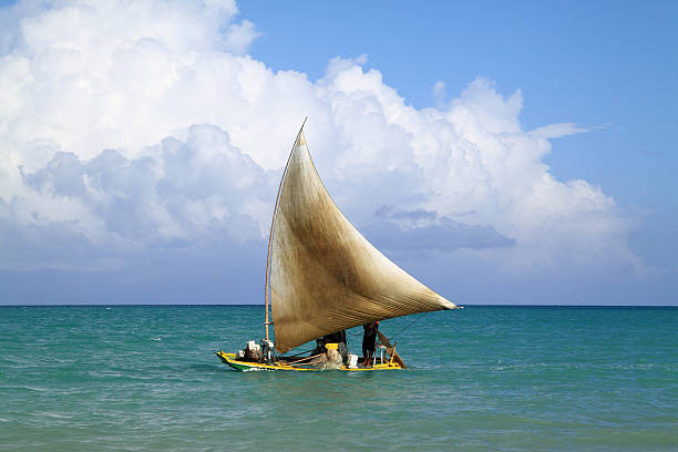 wooden fishing raft sailing past a tropical Atlantic beach, Brazil. stock photo